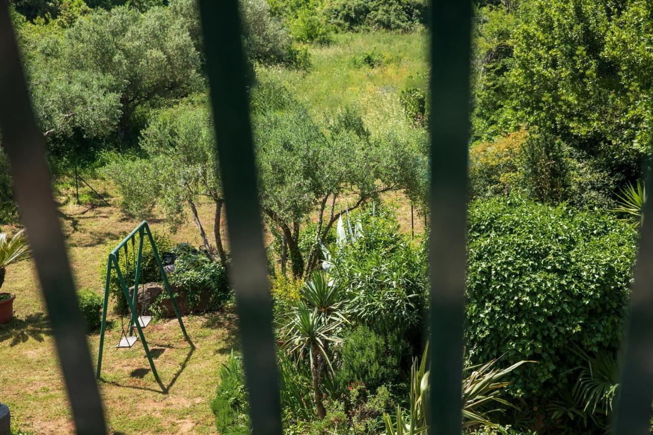 Villa Mareonda - Apartments Sussurro Rovinj Kültér fotó