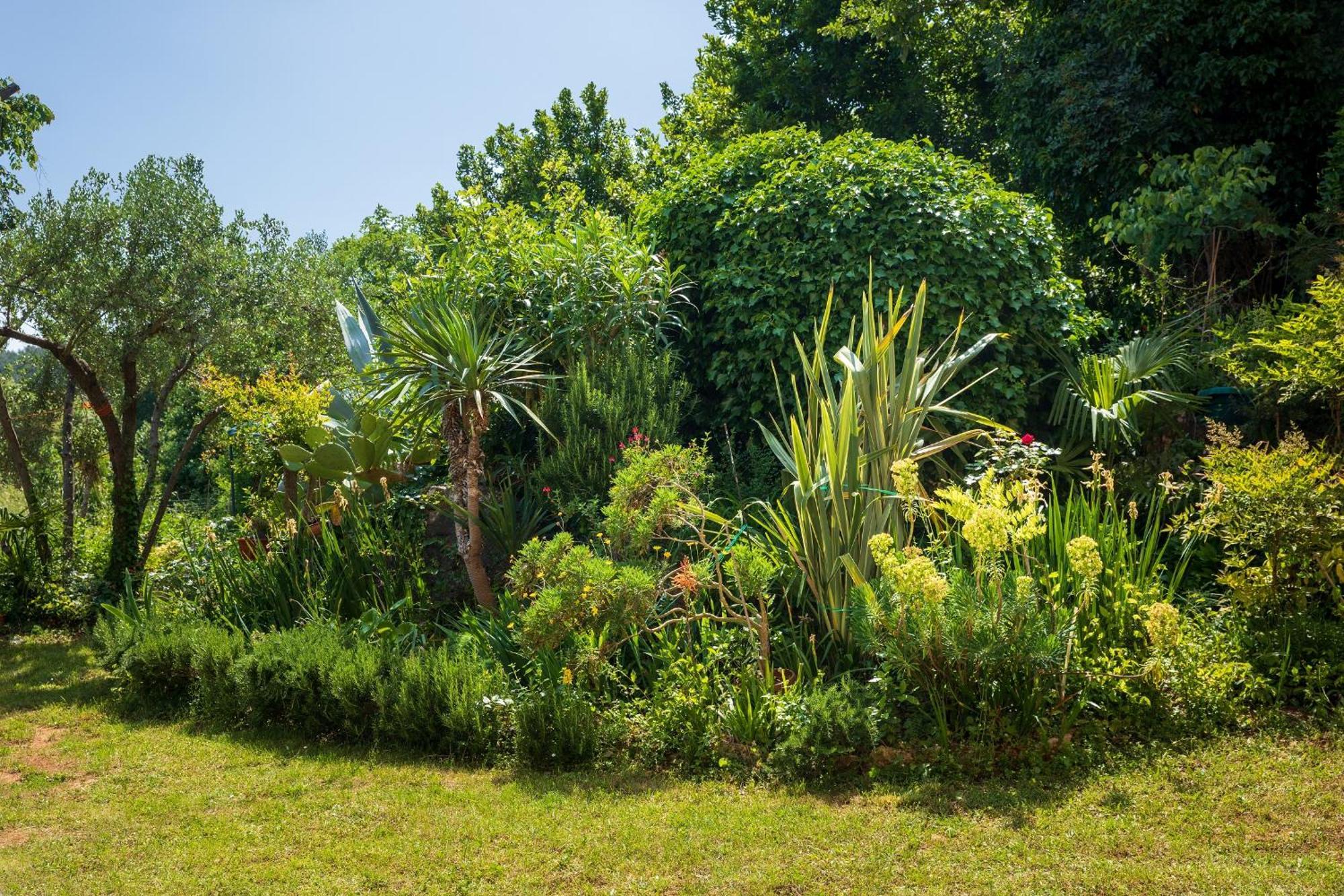Villa Mareonda - Apartments Sussurro Rovinj Kültér fotó